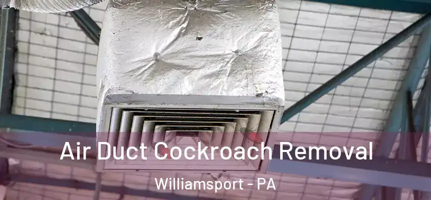  Air Duct Cockroach Removal Williamsport - PA