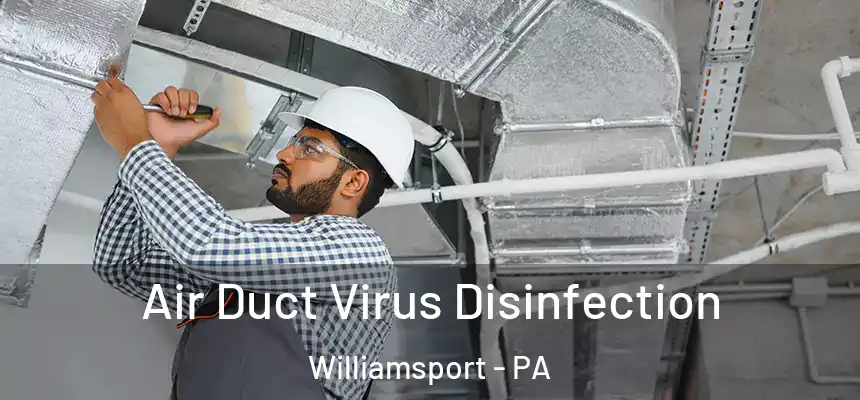  Air Duct Virus Disinfection Williamsport - PA