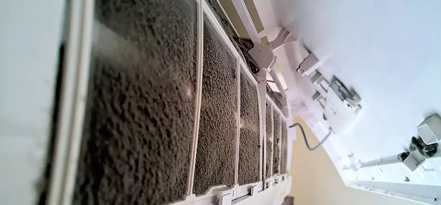 Preventive Air Duct Bacteria Removal in Williamsport