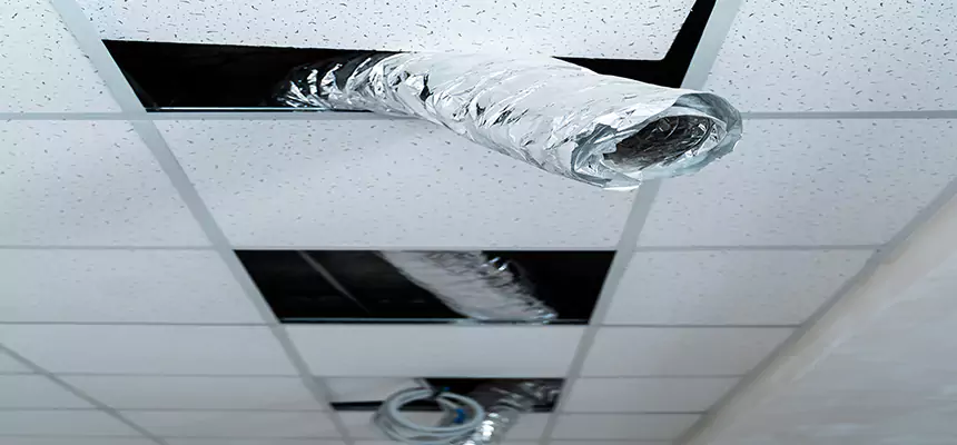 Our Air Duct Pet Hair Removal Services in Williamsport, PA