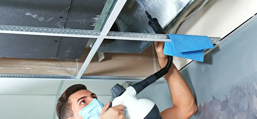 Our Air Duct Rodent Removal Services in Williamsport, PA