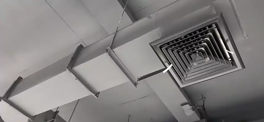 Our Pest Removal From Ducts Services in Williamsport, PA