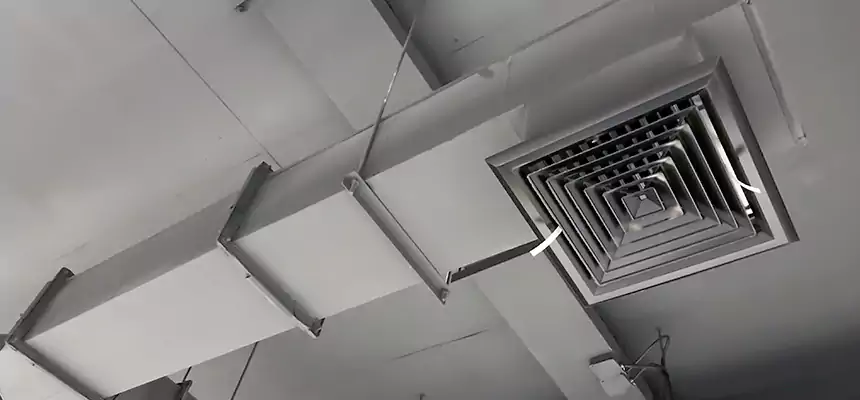 Our Rodent Droppings In Vents Services in Williamsport, PA