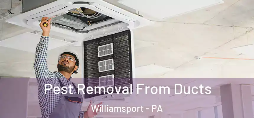  Pest Removal From Ducts Williamsport - PA