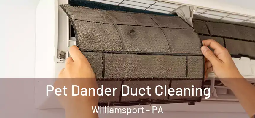  Pet Dander Duct Cleaning Williamsport - PA