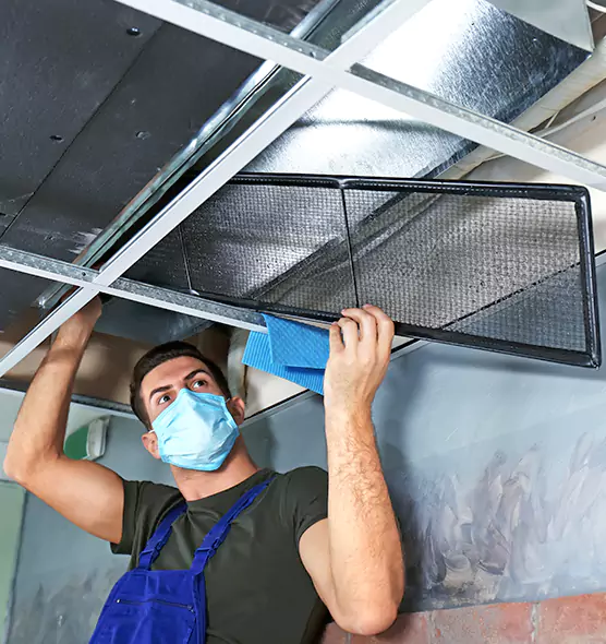 About Air Duct Bacteria Removal in Williamsport