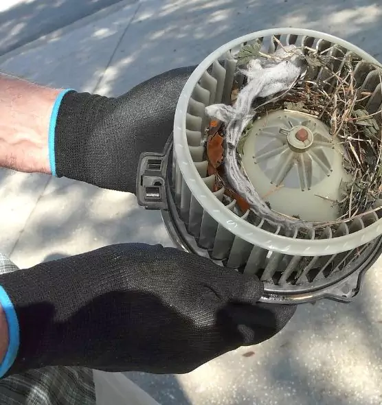 About Air Duct Mice Removal in Williamsport, PA