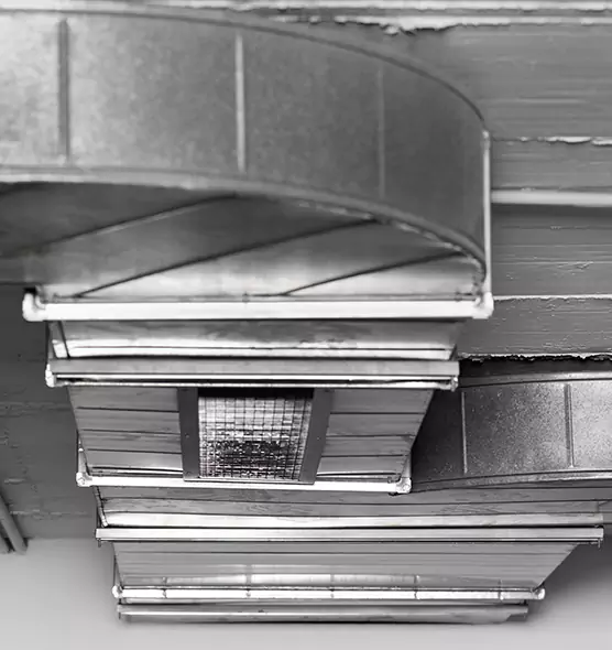 Professional Air Duct Pet Hair Removal in Williamsport, PA