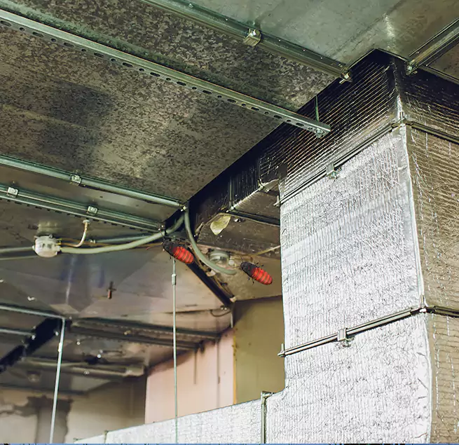 Why Homeowners & Businesses Trust Us in Williamsport, PA?