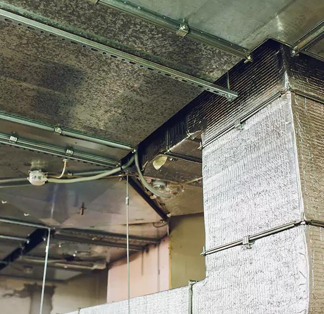 Why Homeowners & Businesses Trust Us in Williamsport, PA?