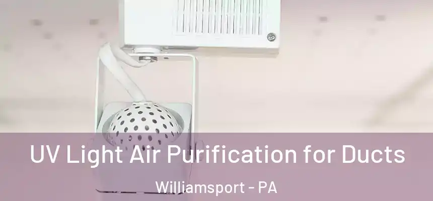  UV Light Air Purification for Ducts Williamsport - PA